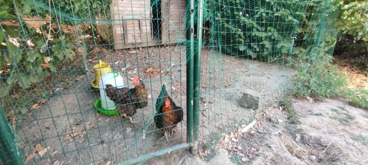 Vila La Demeure Du Figuier Évran Exteriér fotografie